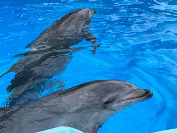 名古屋港水族館に投稿された画像（2024/9/21）