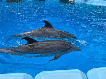 名古屋港水族館に投稿された画像（2024/9/21）
