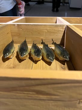 和食～日本の自然、人々の知恵～（東北歴史博物館）に投稿された画像（2024/9/21）