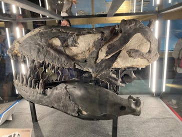 福井県立恐竜博物館に投稿された画像（2024/9/21）