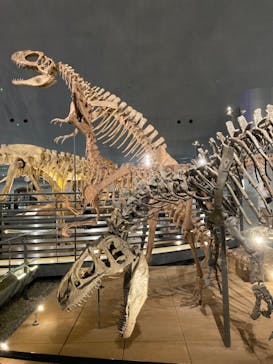 福井県立恐竜博物館に投稿された画像（2024/9/21）