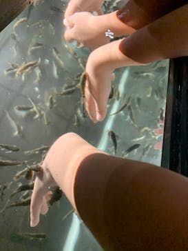 滋賀農業公園ブルーメの丘に投稿された画像（2024/9/21）