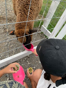 滋賀農業公園ブルーメの丘に投稿された画像（2024/9/21）