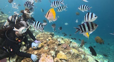 青の洞窟専門店　沖縄ダイビングショップ和に投稿された画像（2024/9/21）