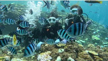 青の洞窟専門店　沖縄ダイビングショップ和に投稿された画像（2024/9/21）