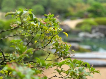 足立美術館に投稿された画像（2024/9/21）