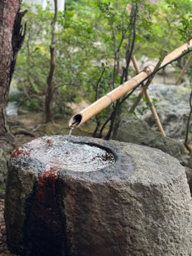 足立美術館に投稿された画像（2024/9/21）