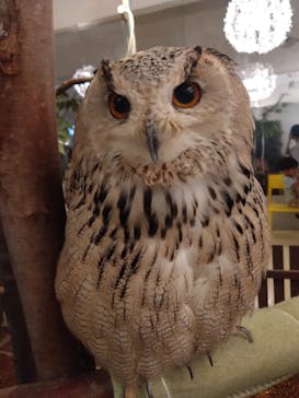 アソビュー！ポイントに投稿された画像（2024/9/21）