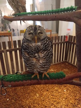 アソビュー！ポイントに投稿された画像（2024/9/21）