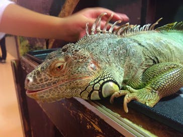 Moff animal cafe イオンモール幕張新都心店に投稿された画像（2024/9/21）