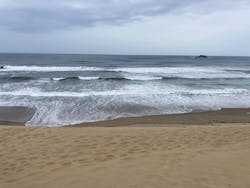 鳥取砂丘サンドボードスクール事業部に投稿された画像（2024/9/21）