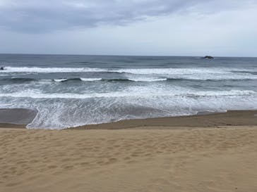 鳥取砂丘サンドボードスクール事業部に投稿された画像（2024/9/21）