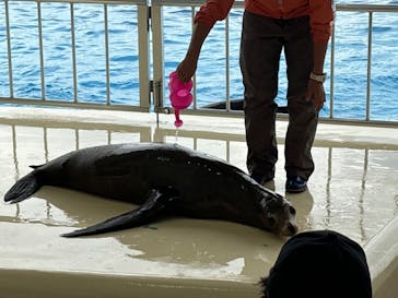 マリンワールド海の中道に投稿された画像（2024/9/21）