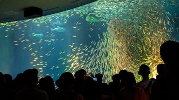 名古屋港水族館に投稿された画像（2024/9/21）