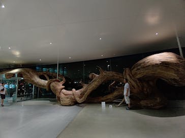 金沢21世紀美術館に投稿された画像（2024/9/21）