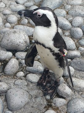 横浜・八景島シーパラダイスに投稿された画像（2024/9/21）