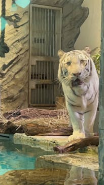 NIFREL（ニフレル）に投稿された画像（2024/9/21）