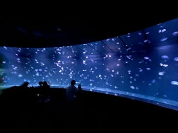 サンシャイン水族館に投稿された画像（2024/9/21）