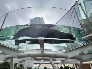 サンシャイン水族館に投稿された画像（2024/9/21）