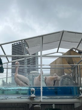 サンシャイン水族館に投稿された画像（2024/9/21）