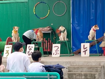 宇都宮動物園に投稿された画像（2024/9/21）