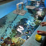 城崎マリンワールドに投稿された画像（2024/9/22）