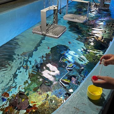 城崎マリンワールドに投稿された画像（2024/9/21）