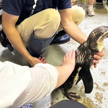 城崎マリンワールドに投稿された画像（2024/9/21）