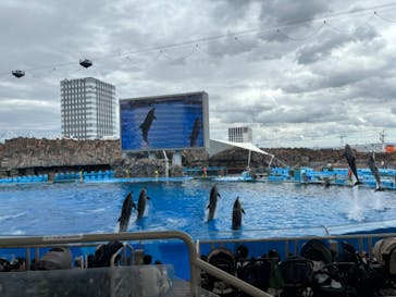 名古屋港水族館に投稿された画像（2024/9/21）