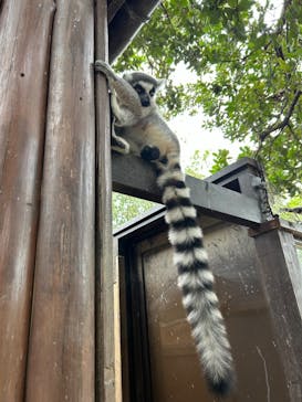 神戸どうぶつ王国に投稿された画像（2024/9/21）