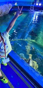 しながわ水族館に投稿された画像（2024/9/21）