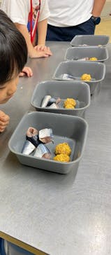 しながわ水族館に投稿された画像（2024/9/21）