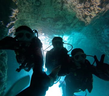 沖縄マリンサービス碧に投稿された画像（2024/9/22）