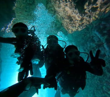 沖縄マリンサービス碧に投稿された画像（2024/9/22）