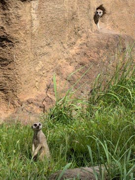 千葉市動物公園に投稿された画像（2024/9/22）