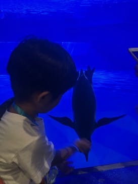 静岡市立日本平動物園に投稿された画像（2024/9/22）