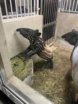 静岡市立日本平動物園に投稿された画像（2024/9/22）