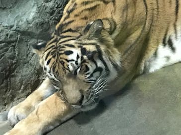 静岡市立日本平動物園に投稿された画像（2024/9/22）