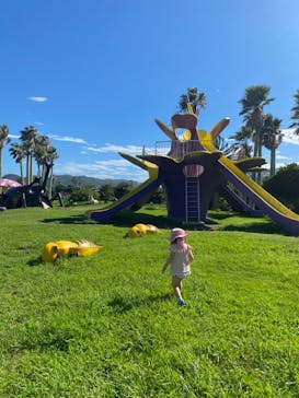 アロハガーデンたてやまに投稿された画像（2024/9/22）