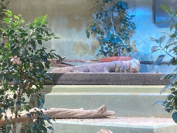 名古屋市東山動植物園に投稿された画像（2024/9/22）