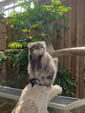 神戸どうぶつ王国に投稿された画像（2024/9/20）