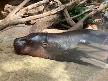 神戸どうぶつ王国に投稿された画像（2024/9/20）