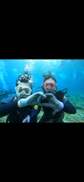 武藤潜水に投稿された画像（2024/9/22）