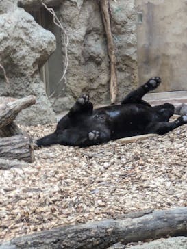 名古屋市東山動植物園に投稿された画像（2024/9/22）