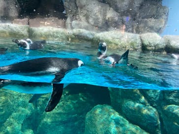 横浜・八景島シーパラダイスに投稿された画像（2024/9/22）