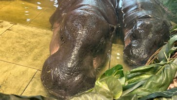 NIFREL（ニフレル）に投稿された画像（2024/9/22）