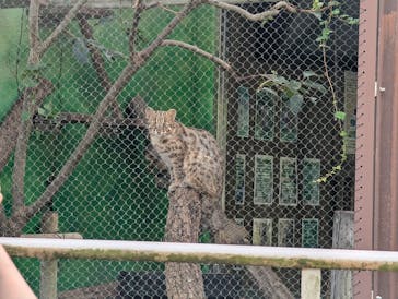 名古屋市東山動植物園に投稿された画像（2024/9/22）