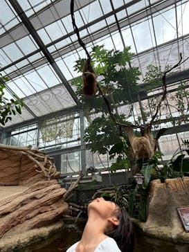 神戸どうぶつ王国に投稿された画像（2024/9/22）