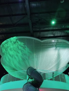 モビリティリゾートもてぎに投稿された画像（2024/9/22）