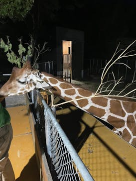 しろとり動物園に投稿された画像（2024/9/22）